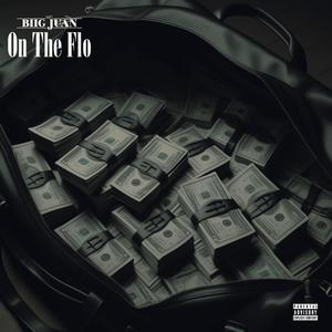 On The Flo (Explicit)