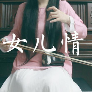 女儿情 (二胡版)