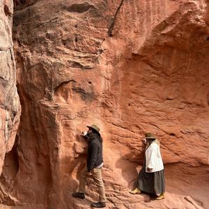 Silhouette of a Sunset