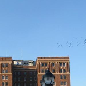 Jo's Gumbo (Explicit)