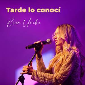 Tarde lo conocí (cover)