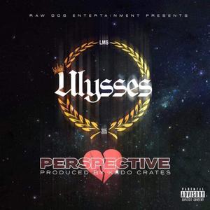 PERSPECTIVE (Explicit)