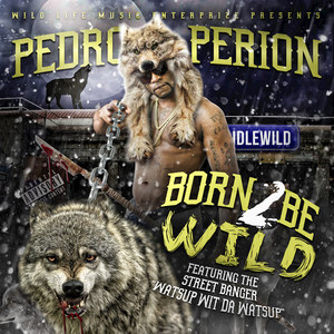 Born 2 Be Wild (Album)