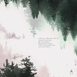 Liberty Rhythm VA 03