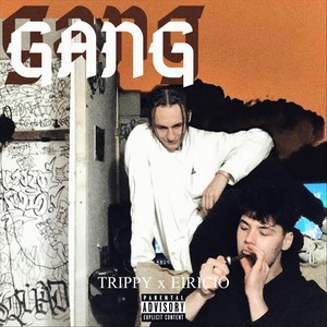 Gang (feat. Elricio) [Explicit]