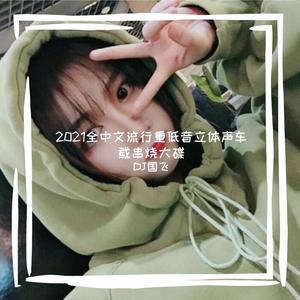 2021全中文流行重低音立体声车载串烧大碟 (DJ版)