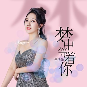 梦中等着你 (吉特巴女声版|DJ何鹏版)