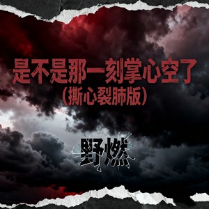 是不是那一刻掌心空了 (撕心裂肺版)