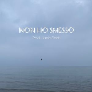 NON HO SMESSO (Explicit)