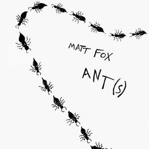 Ant (s)