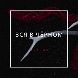 Вся в чёрном