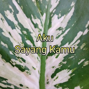 Aku Sayang Kamu