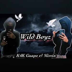 Wild Boyz (Explicit)