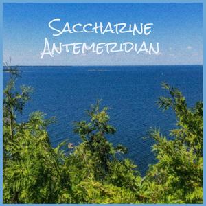 Saccharine Antemeridian