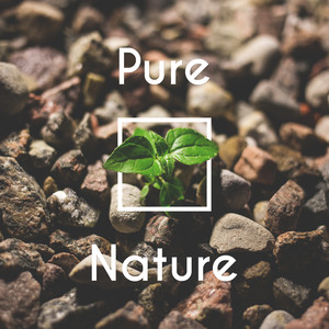 Pure Nature – Relaxing Nature Sounds, Inner Peace, Listen New Age Music, Deep Sounds for Relaxation