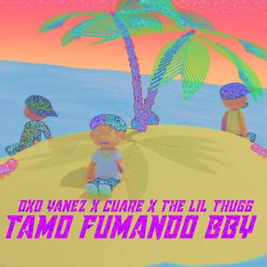 Tamo fumando bby(feat. Slimmy cuare & the lil thugg)