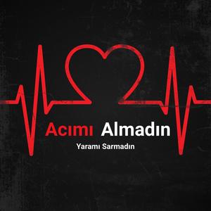 Acımı Almadın Yaramı Sarmadın (feat. Sıla Şahin)