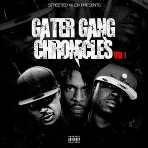 Gater Gang Chronicles, Vol. 1 (Explicit)