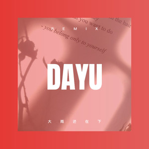 大雨还在下 (DJ版)