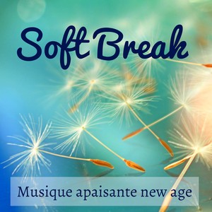 Soft Break - Musique apaisante new age pour résolution de problème techniques de relaxation santé et bien-être avec sons de la nature instrumentaux binauraux