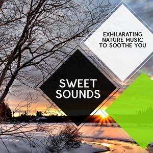 Sweet Sounds - Exhilarating Nature Music to Soothe You