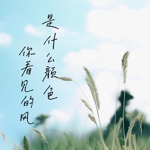 你看见的风是什么颜色