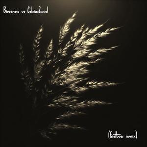 Strohalm (Frietboer Remix|Explicit)