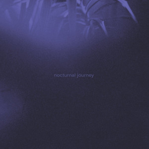 Nocturnal Journey