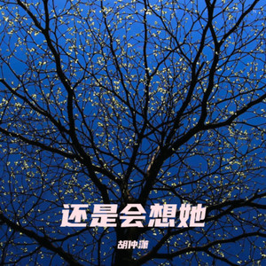 还是会想她封面