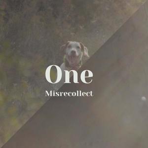 One Misrecollect