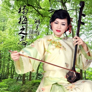 杨梅之恋 (二胡版)