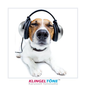 Süßer Hund Klingelton! - Hunde Bellen Kläffen Handy