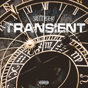 Transient (Explicit)