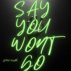 Say You Wont Go (Explicit)