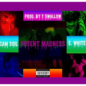 Potent Madness (Explicit)