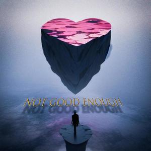 Not Good Enough (feat. N2dsp) (Explicit)