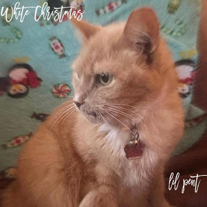 White Christmas (Explicit)