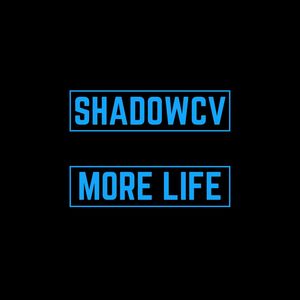 More Life (Explicit)