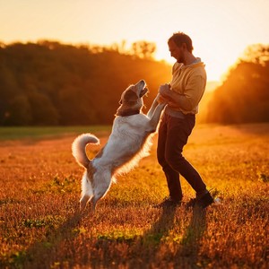 Capricho De Mascotas: Música Para Tus Amigos Peludos