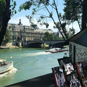 不再犹豫 (DJ版)