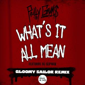 What's it all Mean (feat. DJ Slipwax & Gloomy Sailor) [Gloomy Sailor Remix] [Explicit]