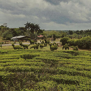 Wait (Demo|Explicit)