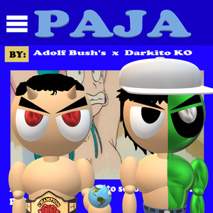 Paja