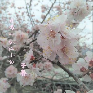 再喝一杯江小白