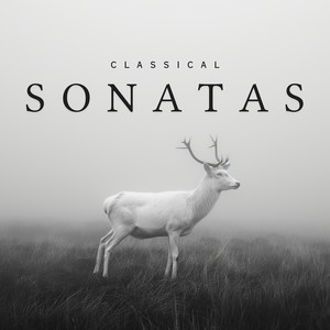 Classical Sonatas - Sonata for Viola and Piano, Op. 147: III. Adagio