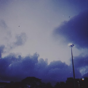 Flowers bloom and fall