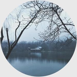 折去江南满涧花 (Inst.)