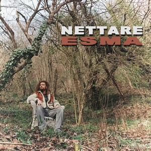 Nettare