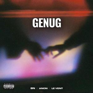 GENUG (feat. LE VENT & ANON) (Explicit)