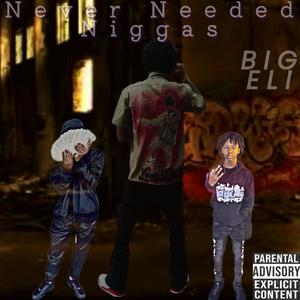 Never Needed Niggas (Explicit)